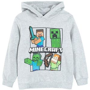 Minecraft Jungen Creeper Hoodie Kapazenpullover (Grau, 128)
