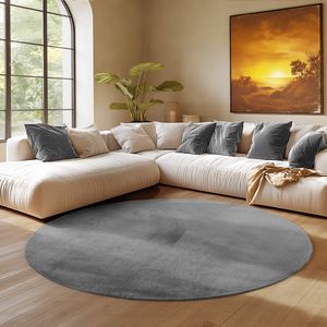 Simpex Wohnteppich und Kurzflor, Waschmaschinenfest, Allergikerfreundlich und Weicher Teppich, Größe: 200 cm Rund, Farbe: Grau Simpex Wohnteppich und Kurzflor, Waschmaschinenfest, Allergikerfreundlich und Weicher Teppich, Größe: 200 cm Rund, Farbe: Grau