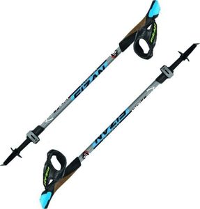 Fizan R-Evolution Blue 58 - 130 cm Nordic Walking Stöcke