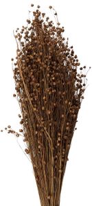 Clayre & Eef 5DF0017 Suszone kwiaty 60 cm (100 gr) Beżowy