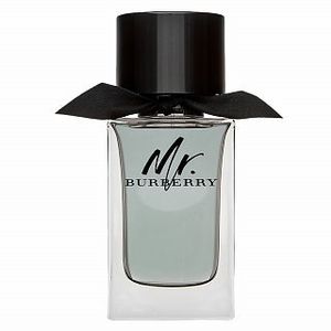 Burberry Mr. Burberry eau de Toilette für Herren 100 ml