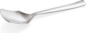 Eislöffel NP 80 Serve, 12,5 cm, Edelstahl 18/10