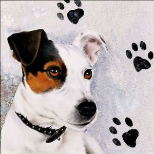 Ubrousky Jack Russell 3400101