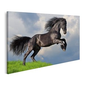 Bild auf Leinwand Friesisches Pferd Galoppiert Wandbild Poster Kunstdruck Bilder 100x57cm 1-teilig