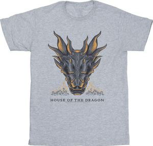 Game Of Thrones: House Of The Dragon - T-Shirt für Herren BI28838 (3XL) (Grau)