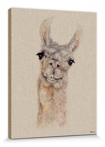 Lamas Poster Leinwandbild Auf Keilrahmen - Rodney, Jane Bannon (40 x 30 cm)