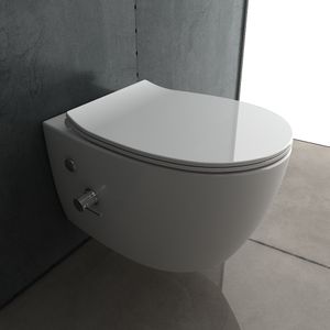 Alpenberger Hänge-WC spülrandlos Dusch-WC KeramikTiefspül Toilette inkl. WC-Sitz und Bidet-Armtatur für Kalt /  Warm Wasseranschluss