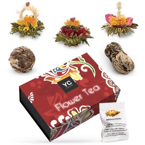 YC Yang Chai Teeblumen Geschenkset "Exhila" - 6er Erblühtee - Grüner Tee in edler Magnetbox - 5 verschiedene Sorten - Teeblume, Blooming Tea