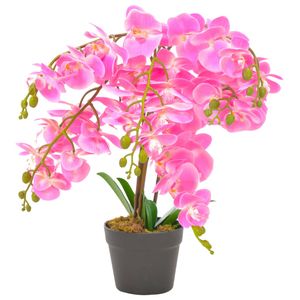 Tischdeko orchideen - Der absolute TOP-Favorit 