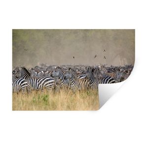 Wandaufkleber - Gejagte Zebras - 60x40 cm - Repositionierbar