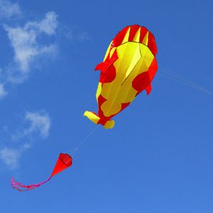 Lixada 3D Kite Riesiger rahmenloser weicher Parafoil-Riesenwal-Drachen 【120 * 215cm】mit 30m Einleiner Flugdrachen