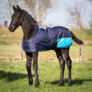 Pferdedecke Fohlendecke verstellbar mit Widerristschutz aus Fleece, 200g Füllung, Farbe:dunkelblau