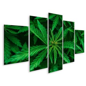 Bild auf Leinwand Cannabis Marihuana Blatt Closeup Hintergrund Natur Hintergrund Low Key  Wandbild Leinwandbild Wand Bilder Poster 170x80cm 5-teilig