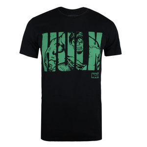 Hulk - T-Shirt für Herren TV856 (XL) (Schwarz/Grün)