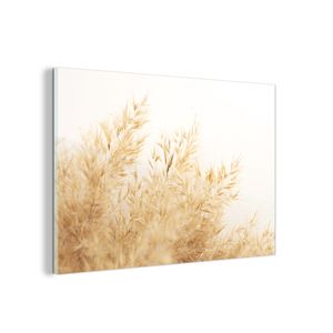 Glasbild Wandbild auf Glas 60x40 cm Wandkunst Weizen - Natur - Sonne MuchoWow