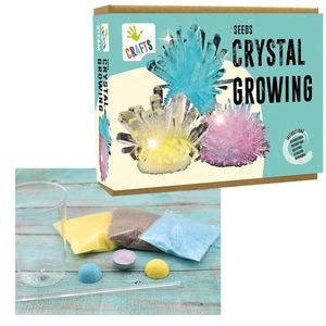 Kristalle züchten Experimentierkasten für Kinder
