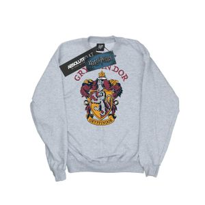 Harry Potter - Sweatshirt für Mädchen BI797 (152-158) (Grau)