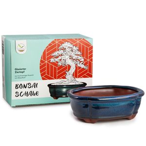 Bonsai Schale aus Keramik in Marineblau - Bonsai Topf abgerundet für die perfekte Inszenierung Ihres Zimmerbonsais - 15 x 5,5 x 11 cm