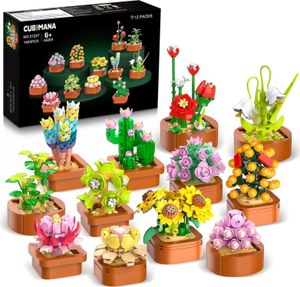 12 Sukkulenten Mini Bausätze 1403 Stück Botanisches Set Büro Heimdekor Erwachsene Kinder