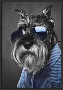 Lustiger Hund mit Hemd und Sonnenbrille B&W Detail im Schattenfugen Bilderrahmen / Format: 100x70 im Schattenfugen-Bilderrahmen / Kunstdruck auf hochwertigem Galeriekarton / hochwertige Leinwandbild Alternative