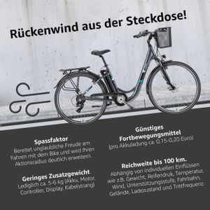 Telefunken E-Bike Elektrofahrrad Alu 28 Zoll mit 7-Gang Shimano Kettenschaltung, Pedelec Citybike leicht mit Fahrradkorb, 250W und 10,4Ah, 36V Sitzrohrakku, RC822 Multitalent