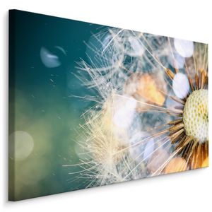 Pusteblumen Bilder günstig online kaufen | Kunstdrucke