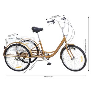 24 Zoll Dreirad 6 Gänge Zahnräder 3 Rad Fahrrad Fahrräder Bike mit Korb Und Lampe für Erwachsene Gold