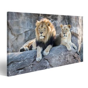 Bild auf Leinwand Männliche Und Weibliche Löwen Sitzt Auf Einem Felsen  Wandbild Leinwandbild Wand Bilder Poster 100x57cm 1-teilig