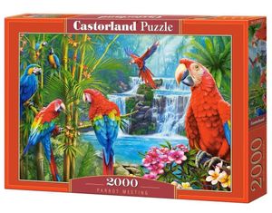 Castorland  Puzzle 2000 Papageientreffen CASTOR 5904438200870