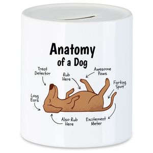 Dog Anatomy Hunde Anatomie Spardose Mit Hund Motiv Für Hundebesitzer Hundeliebhaber Hundemama Hundepapa