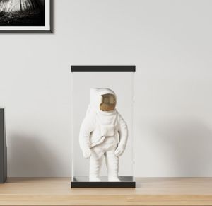 vidaXL Vitrine Transparent 20x20x38 cm Acryl