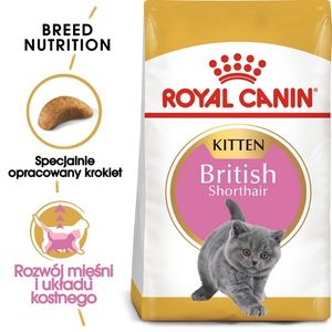 Royal Canin Feline British Shorthair Kitten - 2 kg
