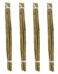 Bambusrohr 4 Bündel mit 20 Stäben je 60cm