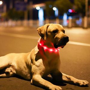Haustier Leuchthalsband Leuchtendes Halsband LED Hundehalsband Leuchtend USB Wiederaufladbares Längenverstellbares Hunde Nacht Halskette für Hunde Katzen Rot
