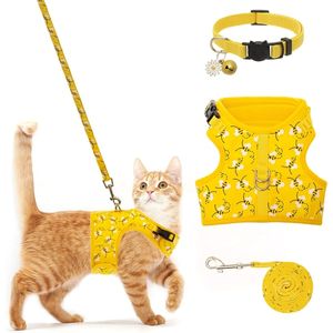 Katzenleine, verstellbares Katzengeschirr mit Leine und Halsband – M