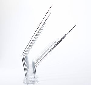 ADERYN hroty W2-R ochrana pred vtákmi do odkvapov 1ks 50cm 20 hrotov