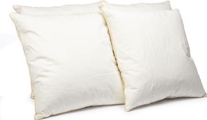 4er Set Federkissen 40x40 cm | 300g Kissenfülung 100% Federn | Kissen mit  Zertifikat | Bezug 100% Baumwolle