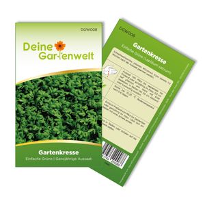 Gartenkresse Einfache Grüne Samen - Lepidium sativum - Gartenkressesamen - Kräutersamen - Saatgut für 1.000 Pflanzen