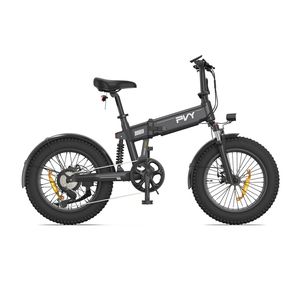 Elektrisches Fahrrad PVY Turbo - 250W Motor 48V13AH Batterie 20 Zoll ReifenFaltbar - Grau