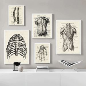 8 stk Menschliche Anatomie Wandkunst Leinwand Malerei Medizinisches Wandbild Poster Wohnkultur 30*40cm Leinwandbilder