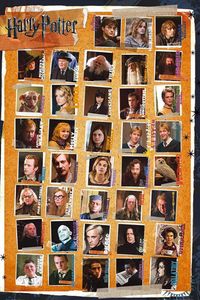 GBeye Harry Potter 7 Characters Poster 61x91.5cm.