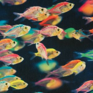Bekleidungsstoff Softshell Fleece Digitaldruck Fische Neon dunkelblau neon gelb 1,45m Breite
