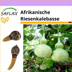 SAFLAX - Afrikanische Riesenkalebasse - 15 Samen - Lagenaria siceraria