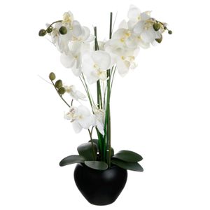 Umělá orchidej v černém květináči, bílá orchidej, výš. 53 cm