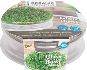 Keimsprossen Salatrauke mit Keimschale |Keimsprossen von Buzzy Seeds