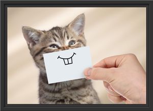 Lustige Katze mit Lächeln auf Papier im Schattenfugen Bilderrahmen / Format: 55x40 im Schattenfugen-Bilderrahmen / Kunstdruck auf hochwertigem Galeriekarton / hochwertige Leinwandbild Alternative