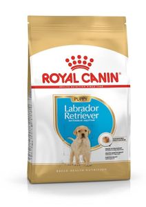 ROYAL CANIN SHN Breed Labrador Junior suché krmivo pro psy - 12 kg.