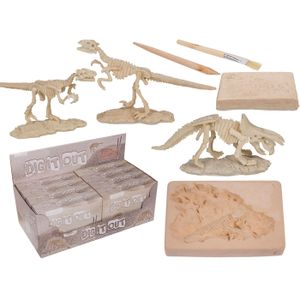 Ausgrabungsset, Dinosaurier Skelett, ca. 4,5 x 18 cm, 8-fach sortiert