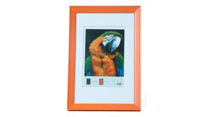 Fotorahmen aus Kunststoff FRESH Style 13x18 orange
