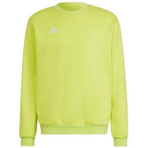 Adidas Sweatshirts Entrada 22, HC5049, Größe: 170